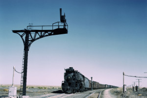 国家英雄荣耀！2026世界杯的爱国情怀