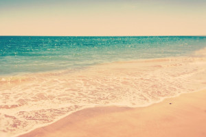 摩纳哥风情：绿茵场上的璀璨明珠，谁能摘得桂冠