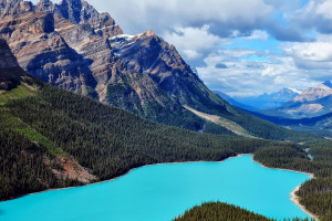 这届美洲杯太炸裂！从小组赛到决赛，冷门迭爆看点十足